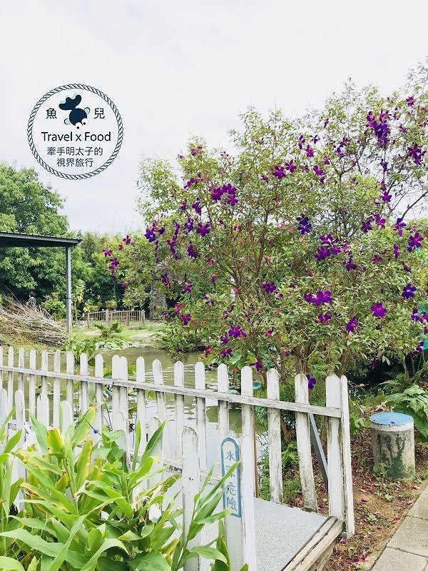 【遊】蓮荷園休閒農場：乘坐大王蓮，練練水上漂，一起來當姆指姑娘～季節限定！ @魚兒 x 牽手明太子的「視」界旅行