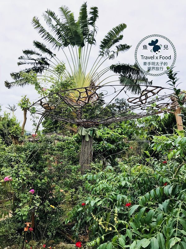 【遊】蓮荷園休閒農場：乘坐大王蓮，練練水上漂，一起來當姆指姑娘～季節限定！ @魚兒 x 牽手明太子的「視」界旅行