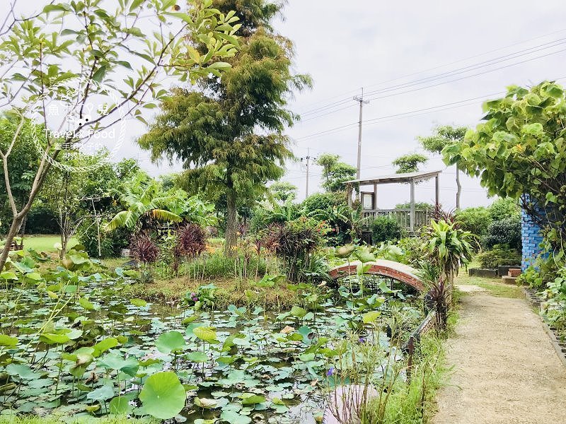 【遊】蓮荷園休閒農場：乘坐大王蓮，練練水上漂，一起來當姆指姑娘～季節限定！ @魚兒 x 牽手明太子的「視」界旅行