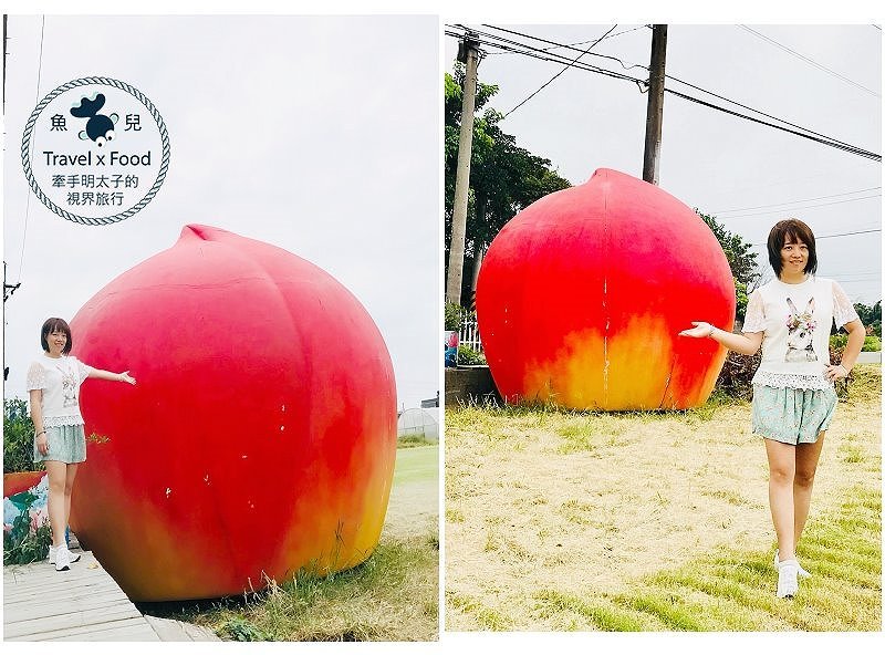 【遊】蓮荷園休閒農場：乘坐大王蓮，練練水上漂，一起來當姆指姑娘～季節限定！ @魚兒 x 牽手明太子的「視」界旅行