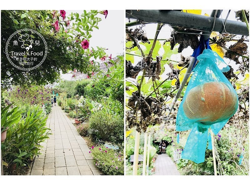 【遊】蓮荷園休閒農場：乘坐大王蓮，練練水上漂，一起來當姆指姑娘～季節限定！ @魚兒 x 牽手明太子的「視」界旅行