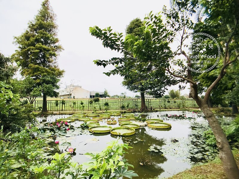 【遊】蓮荷園休閒農場：乘坐大王蓮，練練水上漂，一起來當姆指姑娘～季節限定！ @魚兒 x 牽手明太子的「視」界旅行
