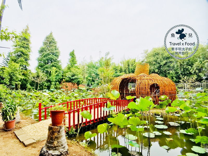 【遊】蓮荷園休閒農場：乘坐大王蓮，練練水上漂，一起來當姆指姑娘～季節限定！ @魚兒 x 牽手明太子的「視」界旅行