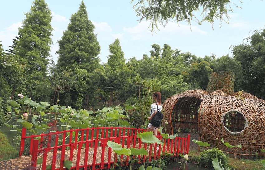 蓮荷園休閒農場觀音美食大王蓮蓮子餐桃園親子遊寵物友善