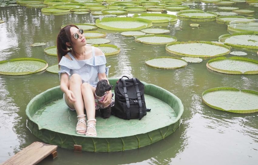 蓮荷園休閒農場觀音美食大王蓮蓮子餐桃園親子遊寵物友善