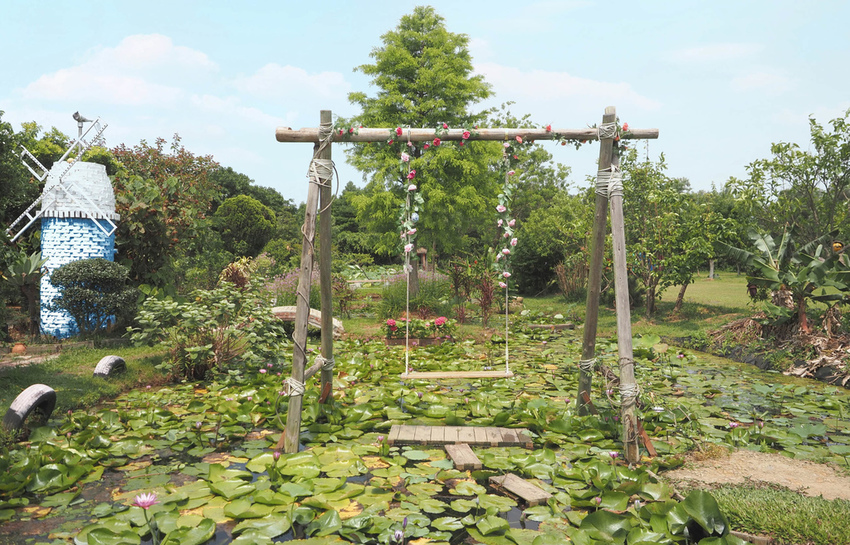 蓮荷園大王蓮桃園觀音蓮子冰親子旅遊寵物友善蓮子冰.jpg