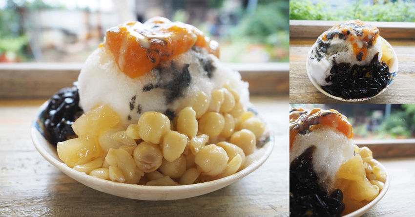 蓮荷園休閒農場觀音美食大王蓮蓮子挫冰桃園親子遊寵物友善