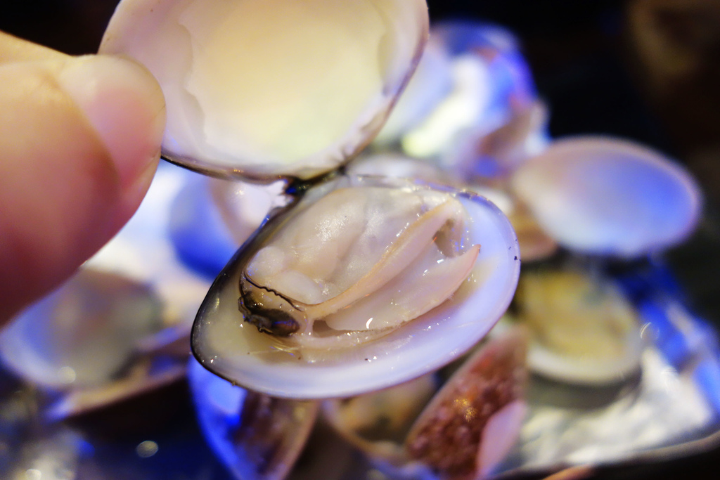 DSC06076.JPG DSC06076.JPG