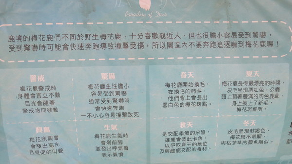 鹿境梅花鹿生態園區:墾丁~鹿境梅花鹿生態園區~溫馴的梅花鹿小朋友超好餵食呦~