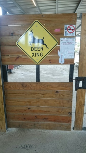 鹿境梅花鹿生態園區:墾丁~鹿境梅花鹿生態園區~溫馴的梅花鹿小朋友超好餵食呦~