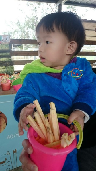 鹿境梅花鹿生態園區:墾丁~鹿境梅花鹿生態園區~溫馴的梅花鹿小朋友超好餵食呦~