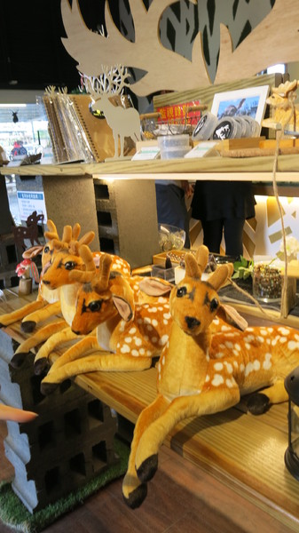 鹿境梅花鹿生態園區:墾丁~鹿境梅花鹿生態園區~溫馴的梅花鹿小朋友超好餵食呦~