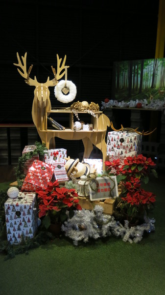 鹿境梅花鹿生態園區:墾丁~鹿境梅花鹿生態園區~溫馴的梅花鹿小朋友超好餵食呦~