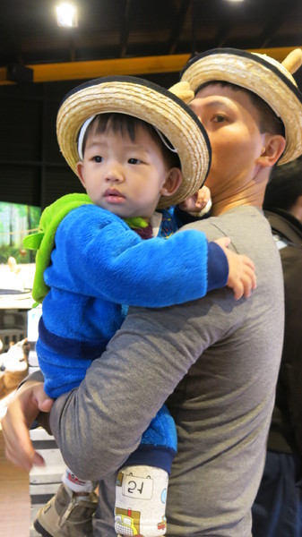 鹿境梅花鹿生態園區:墾丁~鹿境梅花鹿生態園區~溫馴的梅花鹿小朋友超好餵食呦~