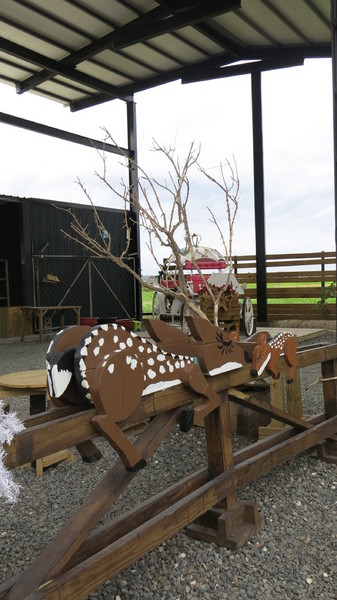 鹿境梅花鹿生態園區:墾丁~鹿境梅花鹿生態園區~溫馴的梅花鹿小朋友超好餵食呦~