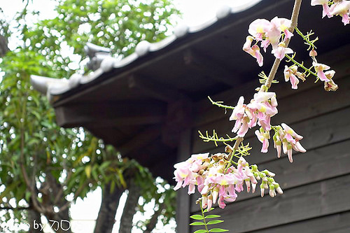 26_台南新化武德殿