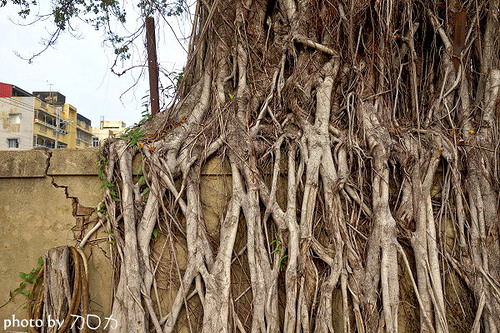 06_台南新化武德殿