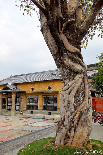 05_台南新化武德殿