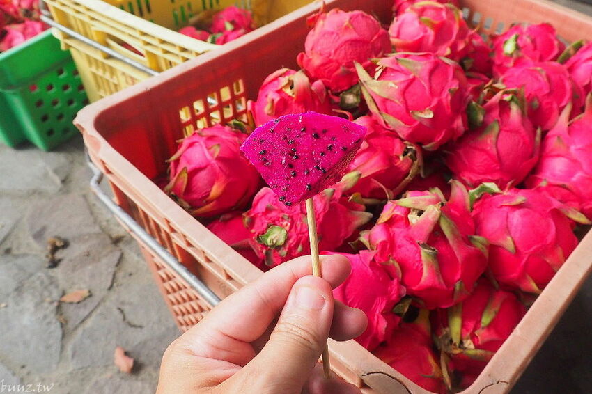 沁藍風箏節限定登場！大型地景藝術風箏天上飛揚，看衝浪競賽、風箏彩繪體驗，秋高氣爽大安微解風！