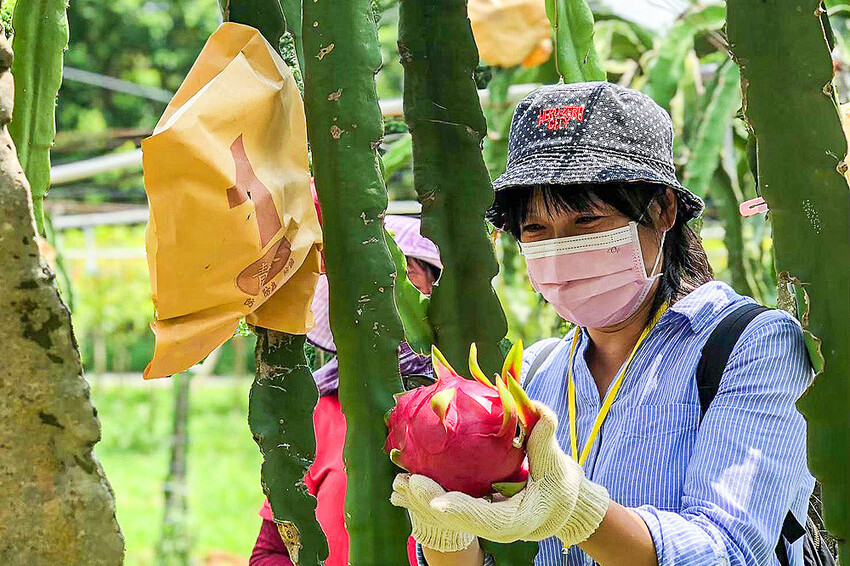 微放風箏節大型風箏展演，風轉大安海，逛市集、聽音樂，體驗風箏衝浪，親子同遊手作彩繪！