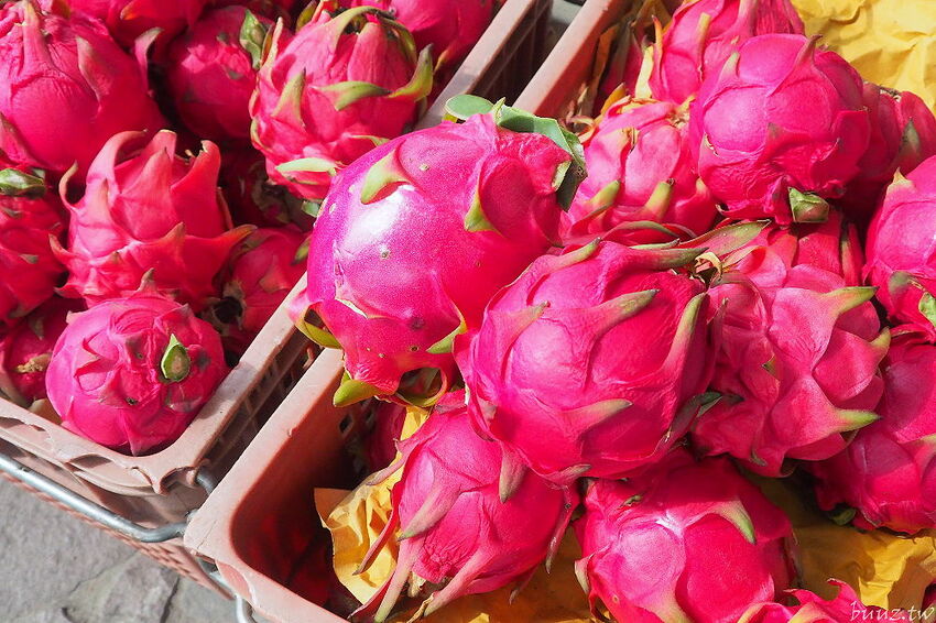 沁藍風箏節限定登場！大型地景藝術風箏天上飛揚，看衝浪競賽、風箏彩繪體驗，秋高氣爽大安微解風！