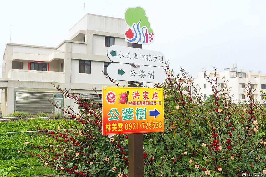 沁藍風箏節限定登場！大型地景藝術風箏天上飛揚，看衝浪競賽、風箏彩繪體驗，秋高氣爽大安微解風！