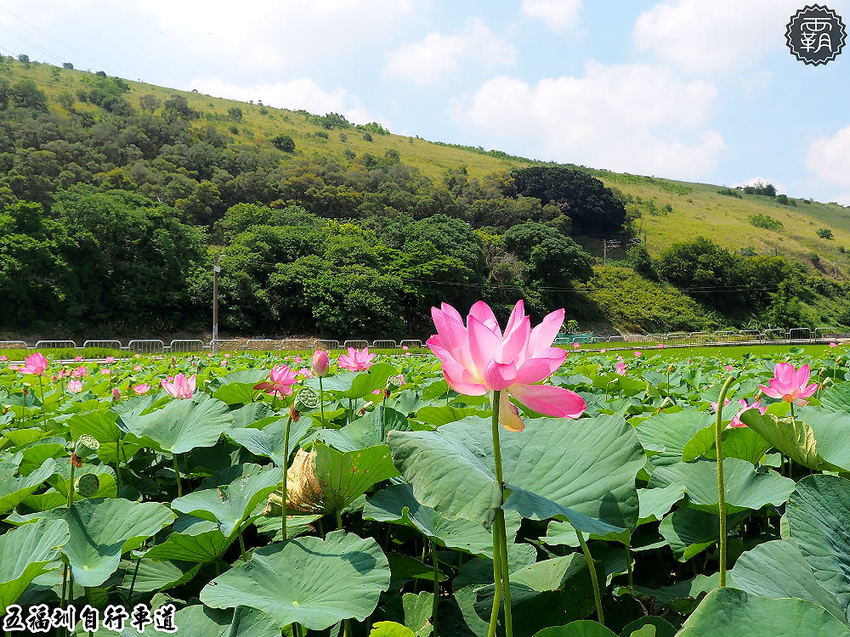 世界景點變成沙雕!2020大安沙雕音樂季,環遊世界一起嗨on大安沙雕!