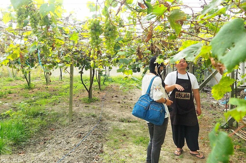 微放風箏節大型風箏展演，風轉大安海，逛市集、聽音樂，體驗風箏衝浪，親子同遊手作彩繪！