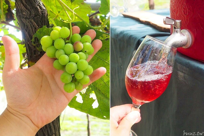 微放風箏節大型風箏展演，風轉大安海，逛市集、聽音樂，體驗風箏衝浪，親子同遊手作彩繪！