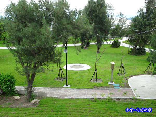 2019大安濱海濼園 (1).jpg