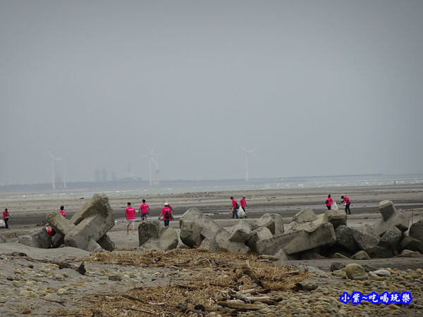 淨灘.jpg 淨灘.jpg