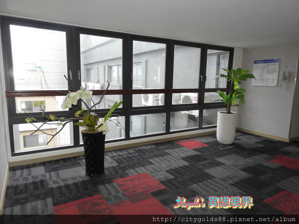 IMG_9226.JPG IMG_9226.JPG