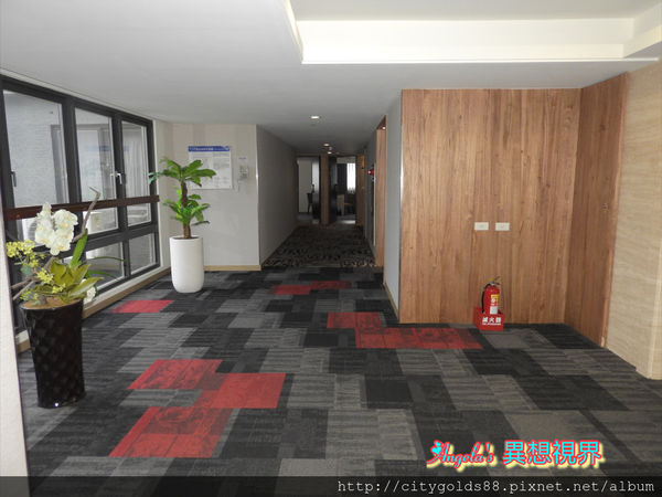 IMG_9227.JPG IMG_9227.JPG