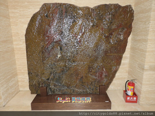 IMG_9373.JPG IMG_9373.JPG