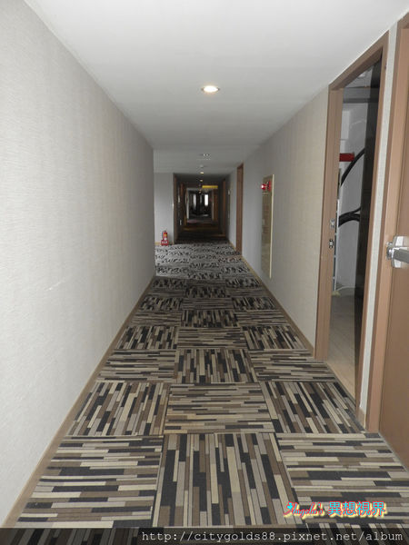 IMG_9205.JPG IMG_9205.JPG