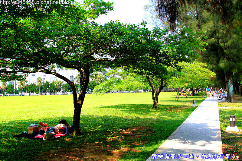 野餐,親子,石管局,草皮,草地,草原