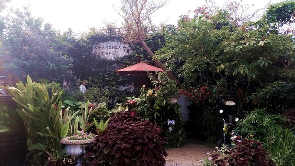 P_20170402_155535_vHDR_Auto