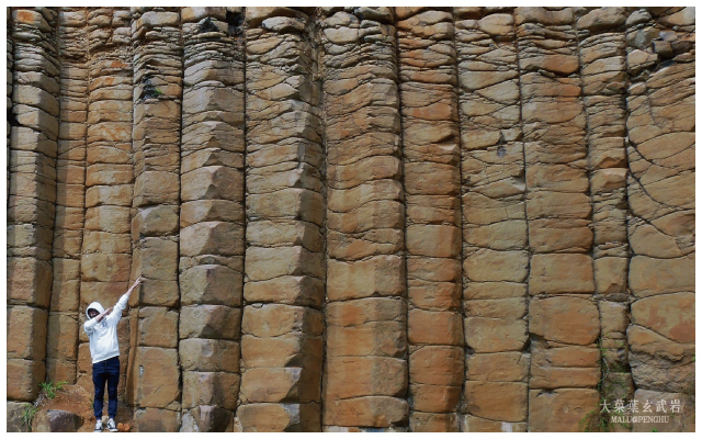 池東西嶼大果葉玄武岩-9