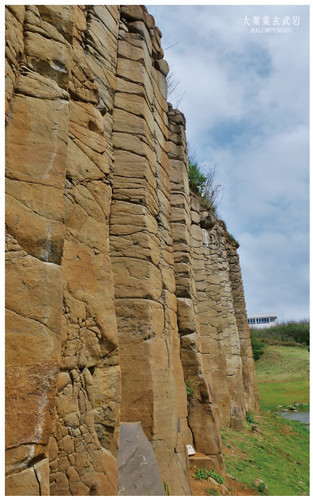 池東西嶼大果葉玄武岩-3