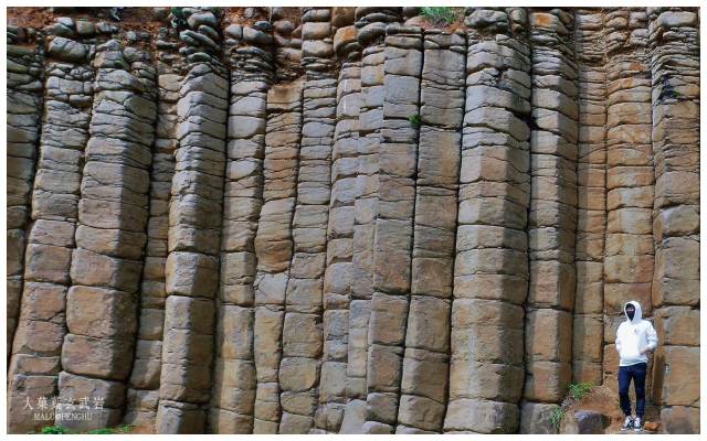 池東西嶼大果葉玄武岩-10