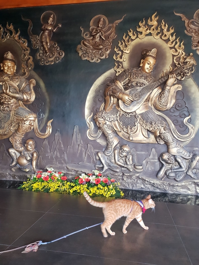 241255.jpg - 【高雄.仁武】仁武烤鴨+古嚴寺超級清幽磁場超棒的寺廟。大殿上充滿著靈氣與能量