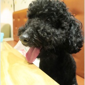 IMG_0432.JPG IMG_0432.JPG