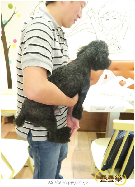 IMG_0448.JPG IMG_0448.JPG