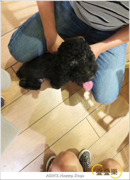 IMG_0449.JPG IMG_0449.JPG