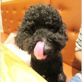 IMG_0429.JPG IMG_0429.JPG