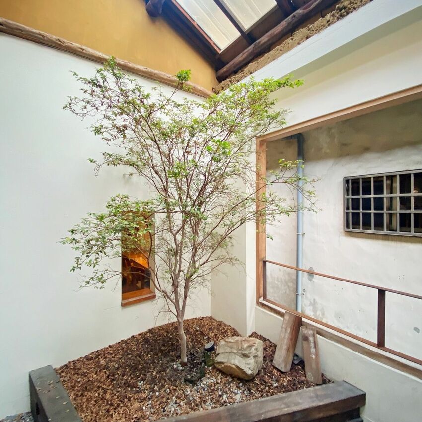 [台中北區] 田樂學院店_for Farm Burger | 巷弄老宅改建早午餐｜手作漢堡｜必吃焦糖布丁｜有插座田樂學院店