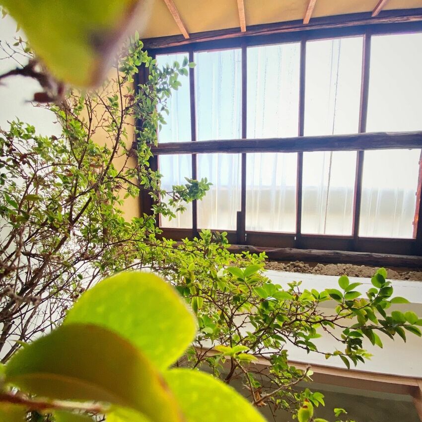 [台中北區] 田樂學院店_for Farm Burger | 巷弄老宅改建早午餐｜手作漢堡｜必吃焦糖布丁｜有插座田樂學院店