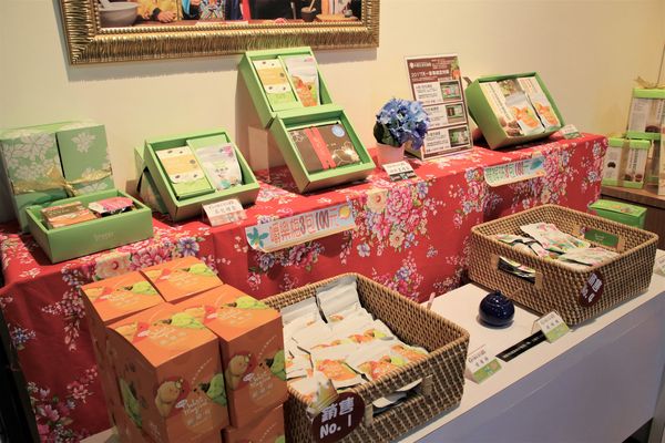 天一中藥生活化園區觀光工廠:【台南官田景點】天一中藥生活化園區觀光工廠~換古裝玩角色扮演/中藥生活化/免費參觀