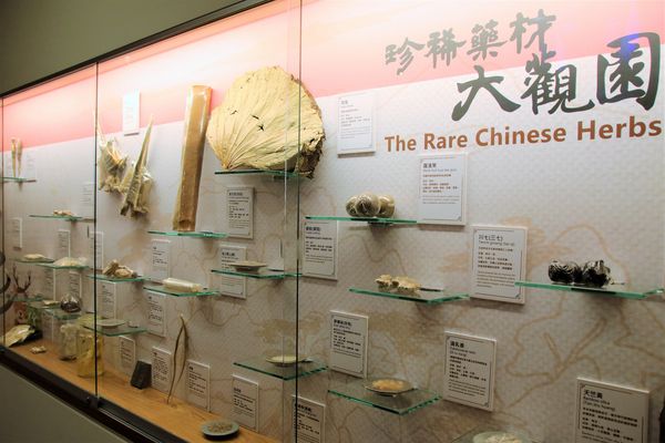 天一中藥生活化園區觀光工廠:【台南官田景點】天一中藥生活化園區觀光工廠~換古裝玩角色扮演/中藥生活化/免費參觀