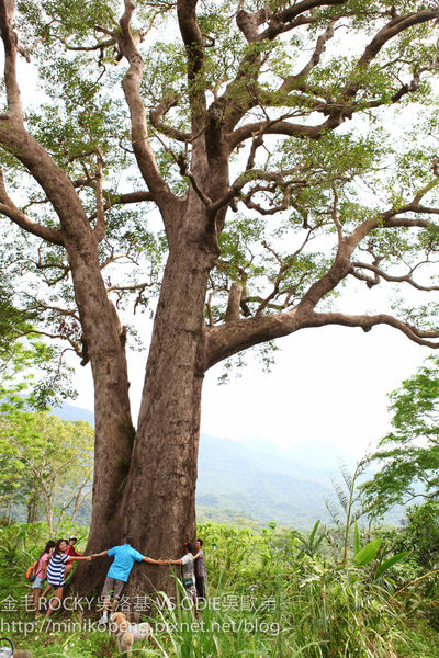 開心的小寶寶-1-53